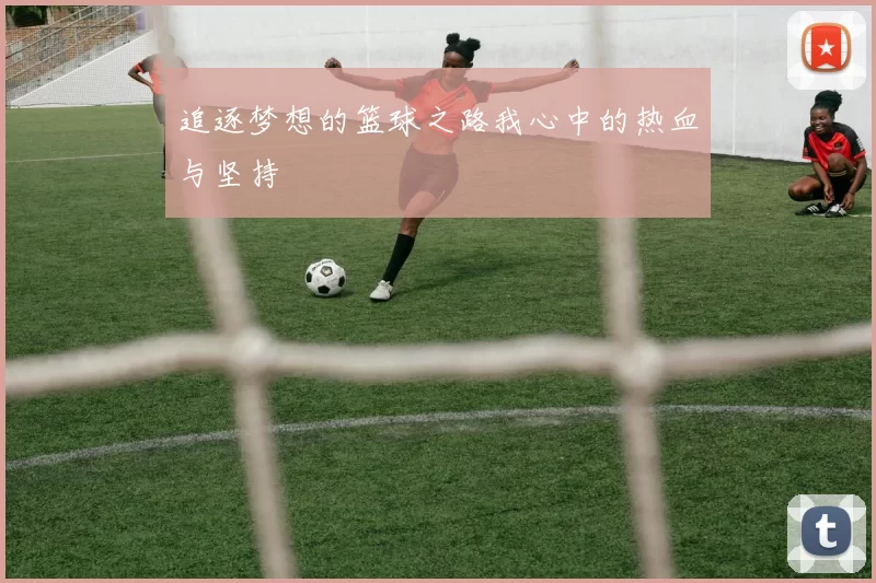 追逐梦想的篮球之路我心中的热血与坚持