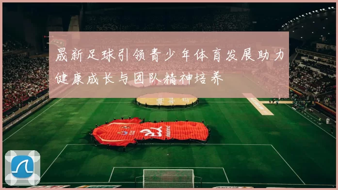 晟新足球引领青少年体育发展助力健康成长与团队精神培养