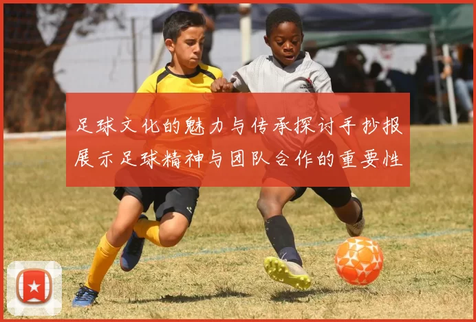 足球文化的魅力与传承探讨手抄报展示足球精神与团队合作的重要性