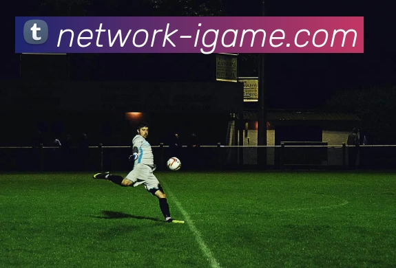 爱游戏平台生态图